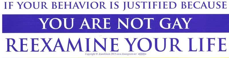 If Your Behavior Is Justified Because You Are Not Gay Reexamine Your Life Sticker 11" x 3"
