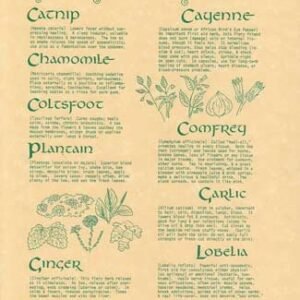 9 Herbs Poster 8 1/2" x 11"
