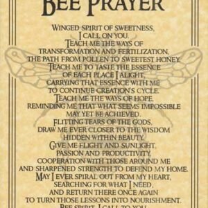 Bee Prayer Poster 8 1/2" x 11"