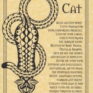 Cat Prayer Poster 8 1/2" x 11"