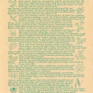 Celtic Trees Poster 8 1/2" x 11"