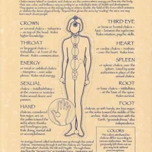 Chakras Poster 8 1/2" x 11"