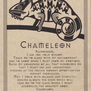 Chameleon Prayer Poster 8 1/2" x 11"
