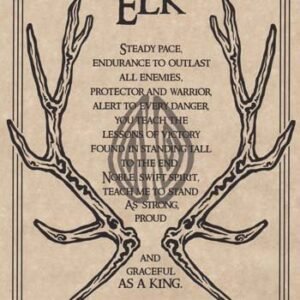 Elk Prayer Poster 8 1/2" x 11"