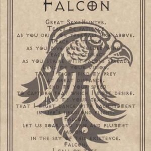 Falcon Prayer Poster 8 1/2" x 11"