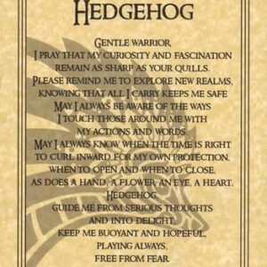 Hedgehog Prayer Poster 8 1/2" x 11"