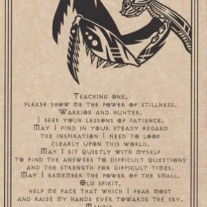 Mantis Prayer Poster 8 1/2" x 11"