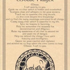 Mouse Prayer Poster 8 1/2" x 11"