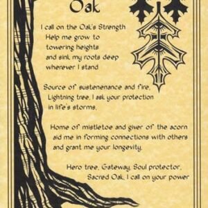 Oak Poster 8 1/2" x 11"