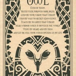 Owl Poster 8 1/2" x 11"