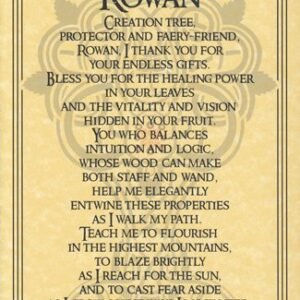 Rowan Tree Poster 8 1/2" x 11"