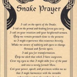 Snake Prayer Poster 8 1/2" x 11"