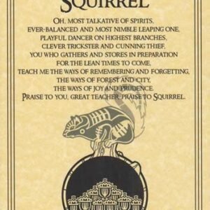 Squirrel Prayer Poster 8 1/2" x 11"