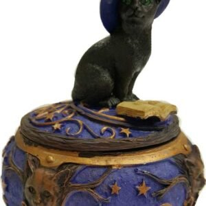 Magical Cat Box w/ Black Cat Lid Accent