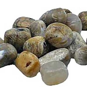 1 lb Dendritic Agate Tumbled Stones