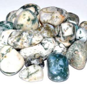 1 lb Tree Agate Tumbled Stones