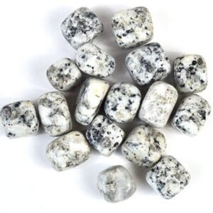 Dalmatian Jasper Tumbled Stones 1 lb