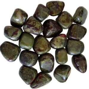 Dragon Blood Jasper Tumbled Stones 1 lb