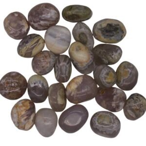 1 lb Opalized Petrified Wood Tumbled Stones
