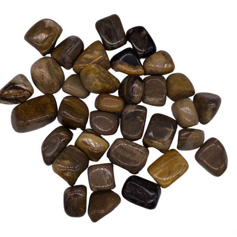 1 lb Petrified Wood Tumbled Stones