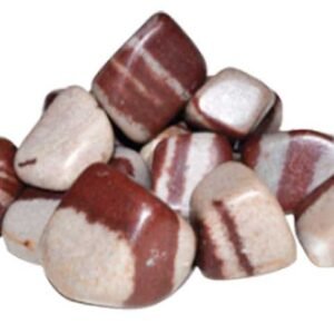 1 lb Shiva Lingam Tumbled Stones