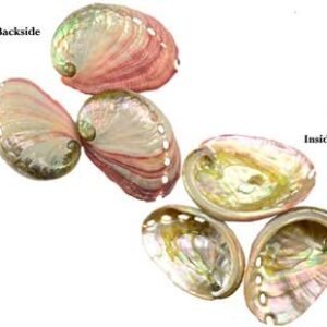 2" Abalone Shell Incense Burner w/ Resin And Crystal