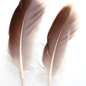 Natural Gray Goose Feather Ritual Writing Feather