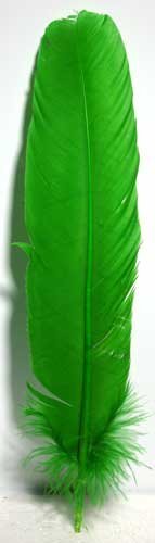 Set Of 10 Green Turkey Feathers 12"