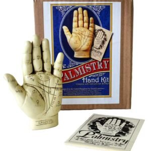5" Palmistry Hand With Guide Book