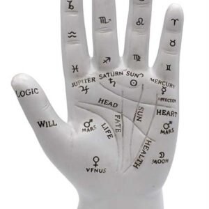 7" Palmistry Hand
