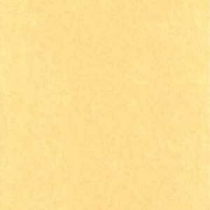 Light Parchment Paper 25 Pack 8 1/2" x 11"