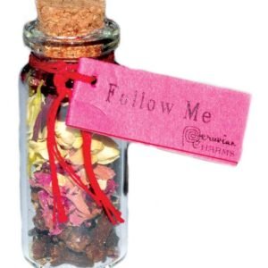 Follow Me Pocket Spell Bottle 2" Sealed Glass Charm