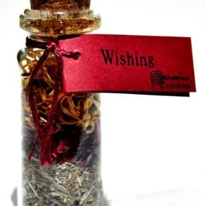 Wishing Pocket Spellbottle 2" Sealed Glass Ritual Bottle