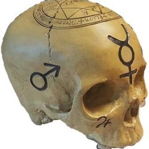 Mystic Skull Resin Altar Statue 6 1/2" x 4"