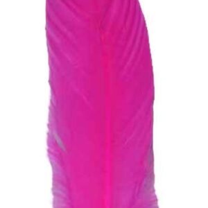 Set Of 10 Pink Feather 12"