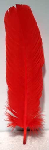 Set Of 10 Red Feathers 12"