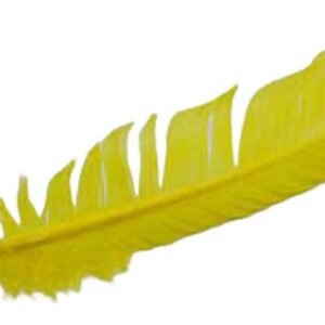 Set Of 10 Yellow Turkey Feathers 12"