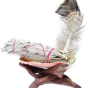 White Sage Smudging Kit With Abalone Shell, Feather & Cobra Stand