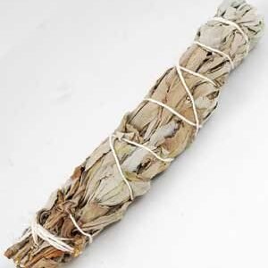 White Sage Smudge Stick 6" Unbagged
